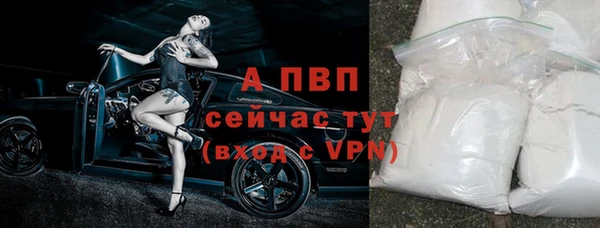 ECSTASY Видное