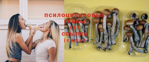 бошки Михайловка